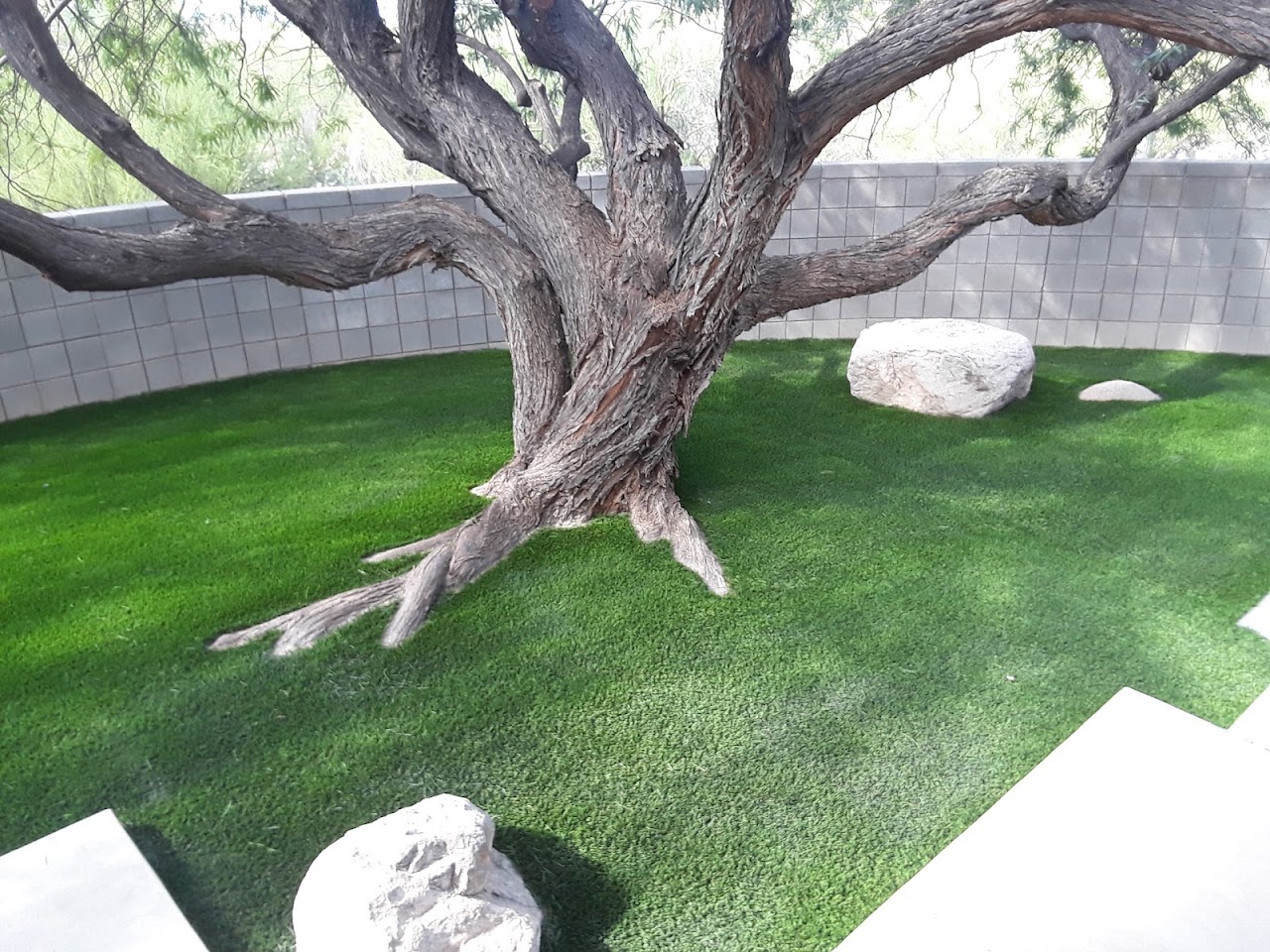 Xeroscapes project